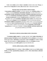 Practice Reports 'Agrīnas bērnības prakse', 3.