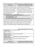 Practice Reports 'Agrīnas bērnības prakse', 6.