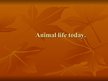 Presentations 'Animal Life Today', 1.