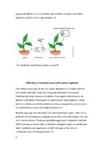 Research Papers 'Pārtikas, kas ražota no ģenētiski modificētiem organismiem, izplatīšana un izman', 6.