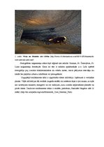 Research Papers 'Karsta procesi Mamuta alas Nacionālajā parkā, ASV', 6.