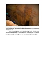 Research Papers 'Karsta procesi Mamuta alas Nacionālajā parkā, ASV', 7.