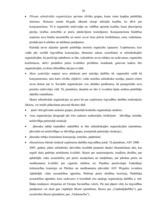 Term Papers 'Tirgvedības funkcijas un pilnveidošanas iespējas uzņēmumā "Nestle"', 20.