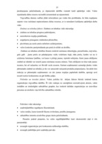 Term Papers 'Tirgvedības funkcijas un pilnveidošanas iespējas uzņēmumā "Nestle"', 23.