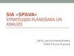 Presentations 'SIA "Spilva" stratēģijas plānošana un analīze', 1.
