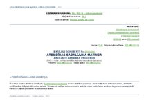 Samples 'Atbildības sadalījuma matrica ārvalstu darbības procesos', 1.