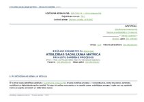 Samples 'Atbildības sadalījuma matrica ārvalstu darbības procesos', 9.