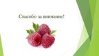 Presentations 'Сельскохозяйственная ферма по выращиванию и сбору садово-ягодных культур', 12.