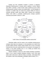 Term Papers 'Sešgadīga bērna vokālo prasmju attīstības sekmēšana mūzikas nodarbībās pirmsskol', 10.