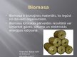 Presentations 'Biomasa un vēja enerģija', 2.