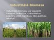 Presentations 'Biomasa un vēja enerģija', 7.