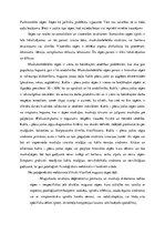 Essays 'Sāpes', 2.