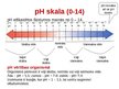 Presentations 'Vispārējā un sporta bioķīmija', 6.