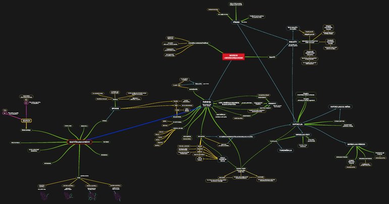 Summaries, Notes 'Mikrobioloģija, Mind Map', 1.