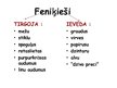 Presentations 'Feniķija', 7.