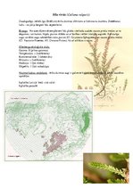 Presentations 'Augu ekoloģija purvu zinatnēs', 5.