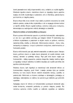 Essays 'Dizains: funkcionalitāte, estētika un cilvēka pieredze', 2.