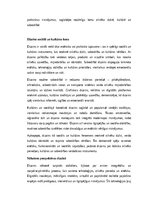 Essays 'Dizains: funkcionalitāte, estētika un cilvēka pieredze', 3.