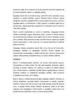 Essays 'Dizains: funkcionalitāte, estētika un cilvēka pieredze', 4.