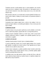 Summaries, Notes 'Civiltiesību, civilprocesa un komerctiesību jautājumu konspekts', 136.