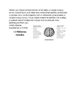 Summaries, Notes 'Smadzenes un to funkciju pētīšana', 5.
