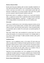 Summaries, Notes 'Latviešu tautas pasakas “Kurbads” analīze', 7.