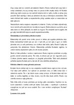 Summaries, Notes 'Latviešu tautas pasakas “Kurbads” analīze', 8.