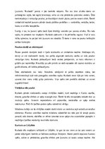 Summaries, Notes 'Latviešu tautas pasakas “Kurbads” analīze', 9.