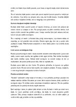 Summaries, Notes 'Latviešu tautas pasakas “Kurbads” analīze', 11.