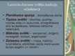 Presentations 'Latviešu Dziesmu un Deju svētki', 4.