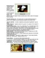 Research Papers 'Dabas objekti Limbažu rajonā', 2.