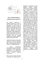 Summaries, Notes 'Magnetic Nanoparticle Hyperthermia in Cancer Treatment', 4.