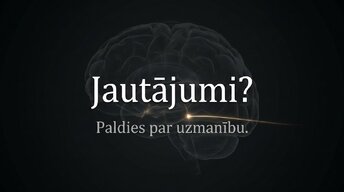 Presentations 'Nervu sistēmas strukturāli funkcionālā organizācija: varolija tilts', 15.
