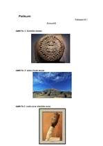 Research Papers 'Seno Dienvidamerikas kultūru kalendāri un kalendāru rituāli', 24.