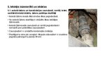 Presentations 'Tehniskās apsekošanas atzinums. Daudzdzīvokļu dzīvojamā māja Bebru ielā 16, Jēka', 5.