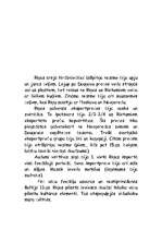 Research Papers 'Rīga viduslaikos (2.gs.-18.gs.)', 7.