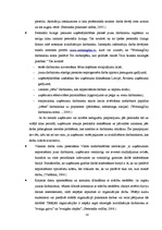 Research Papers 'Personāla atlase un tās veidi organizācijā', 14.