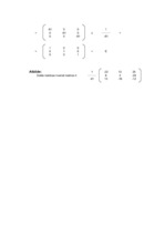 Summaries, Notes 'Inverso matricu kalkulators', 2.