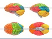 Presentations 'Smadzeņu pakauša, deniņu, paura un pieres daļas bojājumu neiropsiholoģiskie sind', 2.
