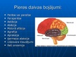 Presentations 'Smadzeņu pakauša, deniņu, paura un pieres daļas bojājumu neiropsiholoģiskie sind', 4.
