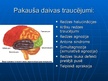 Presentations 'Smadzeņu pakauša, deniņu, paura un pieres daļas bojājumu neiropsiholoģiskie sind', 7.