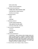 Research Papers 'Umberto Eko "Rozes vārds"', 22.