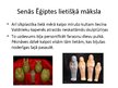 Presentations 'Senā Ēģipte, Senā Grieķija un Senā Roma', 10.