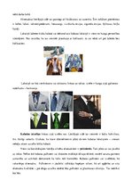 Presentations 'Kungu apģērbs - kaklasaite, kurpes, zeķes, aksesuāri un tumšs uzvalks', 9.