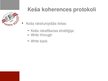 Presentations 'Keša koherence', 12.