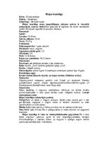 Summaries, Notes 'Bezdelīgas un čurkstes', 5.