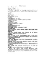 Summaries, Notes 'Bezdelīgas un čurkstes', 8.