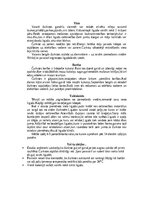 Summaries, Notes 'Bezdelīgas un čurkstes', 9.