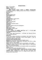 Summaries, Notes 'Bezdelīgas un čurkstes', 10.