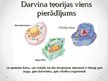 Presentations 'Darvina teorija par evolūciju', 7.